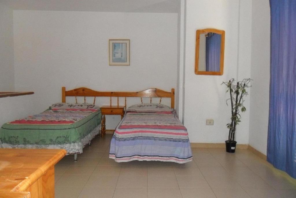 Apartamentos Alondras Park Costa Del Silencio Buitenkant foto
